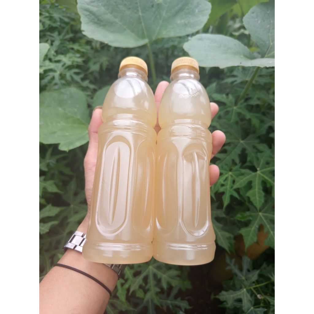 

jual air nira asli tanpa campuran/dadakan per 2 Botol