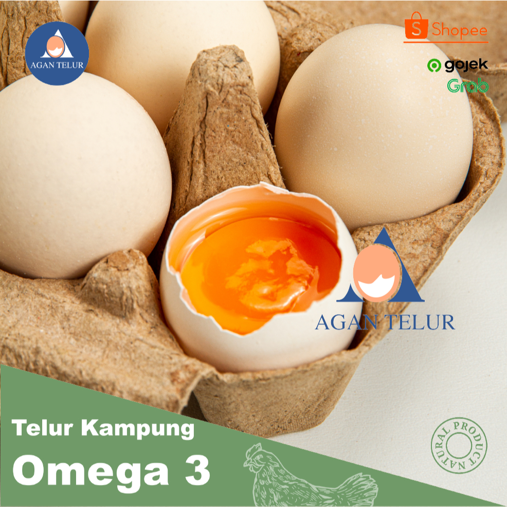 

TELUR AYAM KAMPUNG SUPER ISI 10 BUTIR