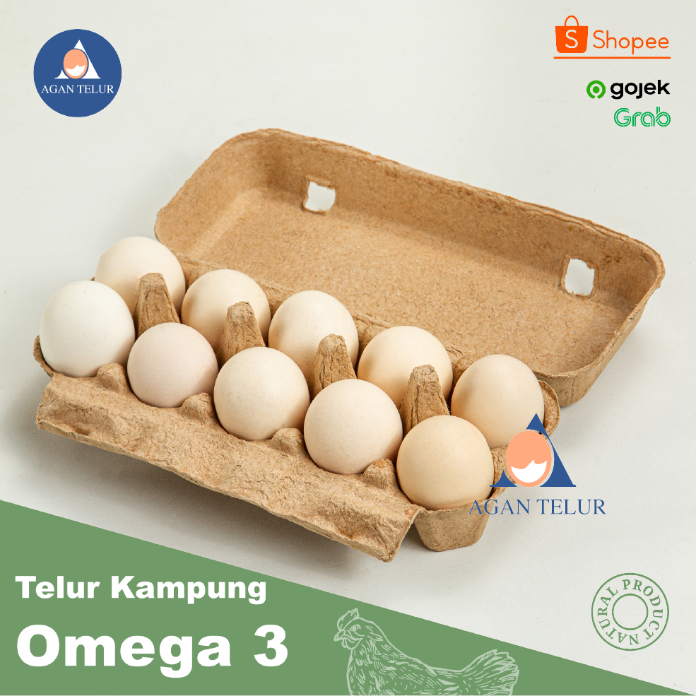 

RB TELUR AYAM KAMPUNG SUPER ISI 10 BUTIR