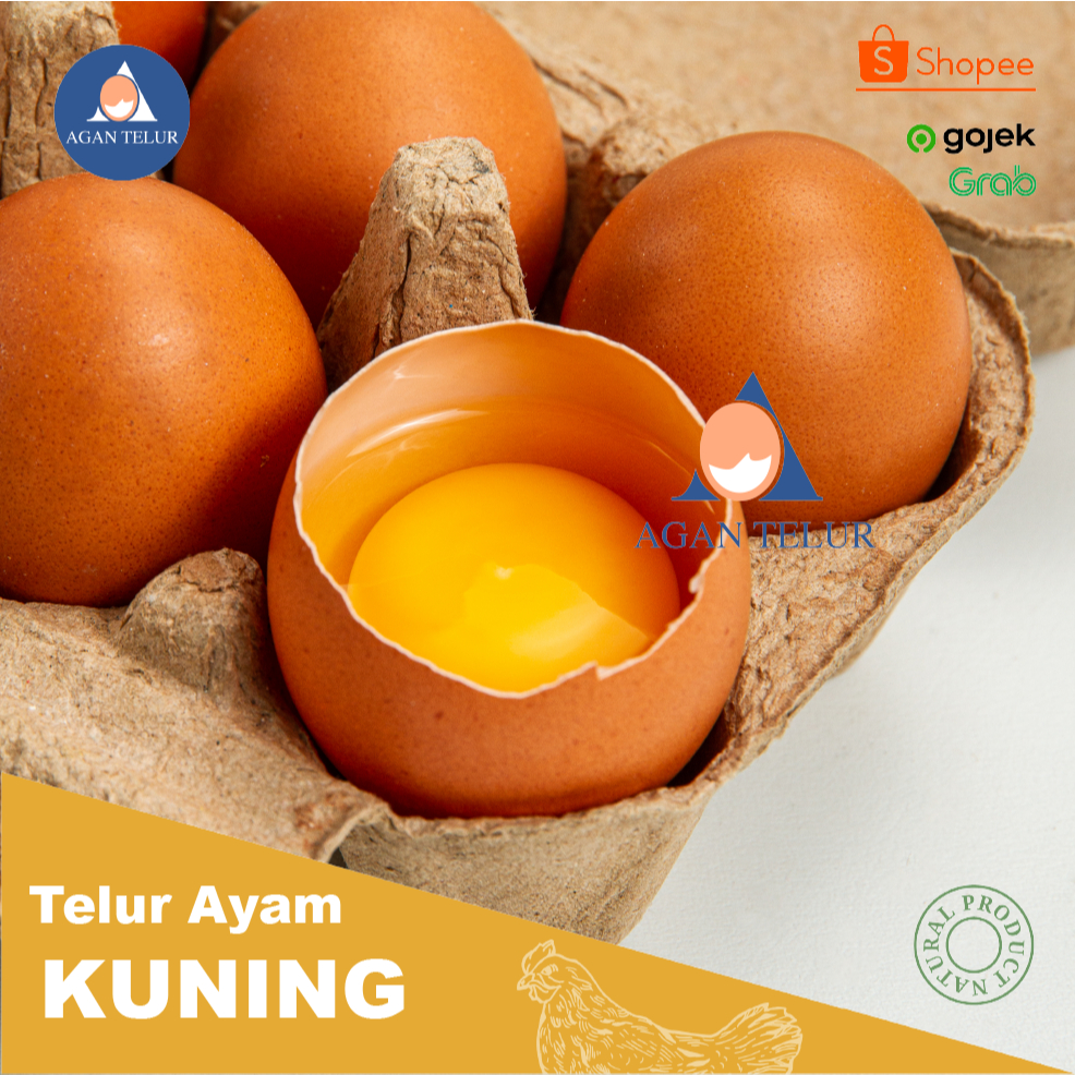 

Telur Ayam Negeri Fresh per 6 Butir