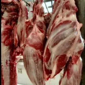 

DAGING SENGKEL KEMBANG FRESH 1 KG