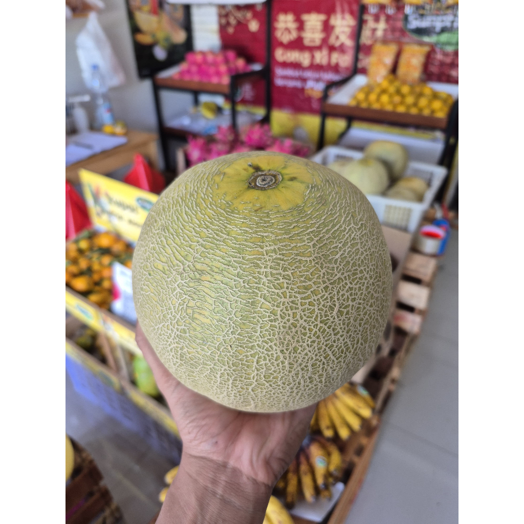 

Buah Melon Madu Ngawi Manis Alami dan Super Segar 1 Kg