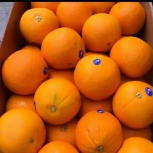 

jeruk Sunkist Navel(segar manis) ( 400_500 gram)