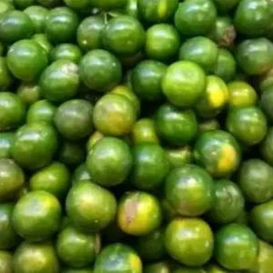 

jeruk peras 500g