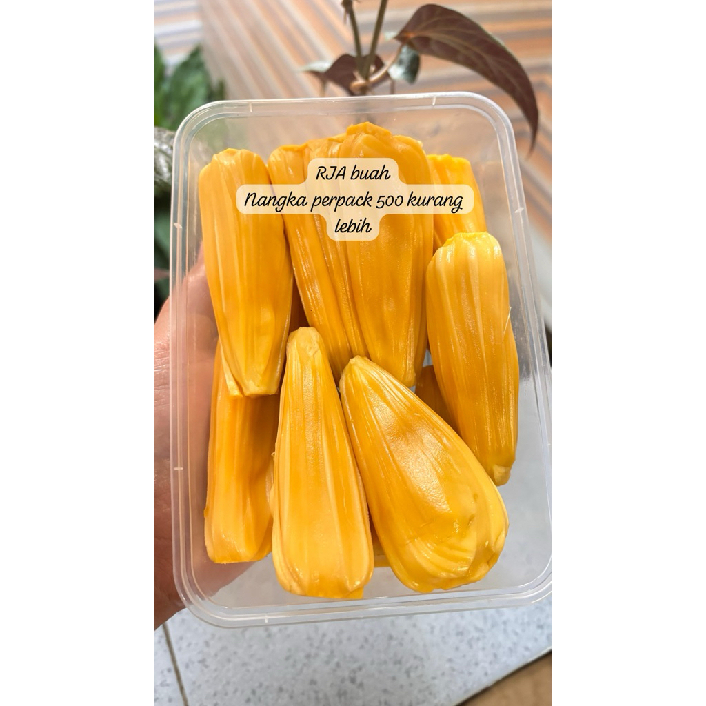

nangka kupas 500gr±