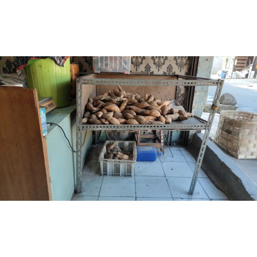 

ubi madu cilembu ukuran kecil