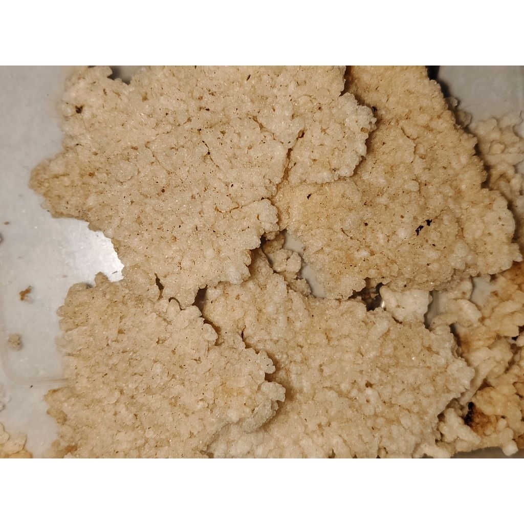 

intip renyah kriuk nikmat (1kg, 500gr, 250gr) murah meriah keriukk