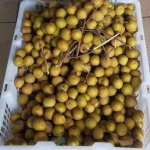 

Kelengkeng bangkok 1kg
