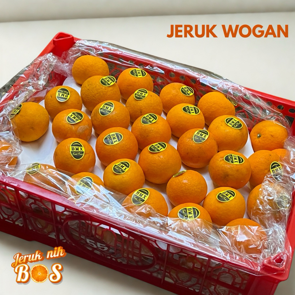 

Jeruk Wogan 1 kg / 500 gr