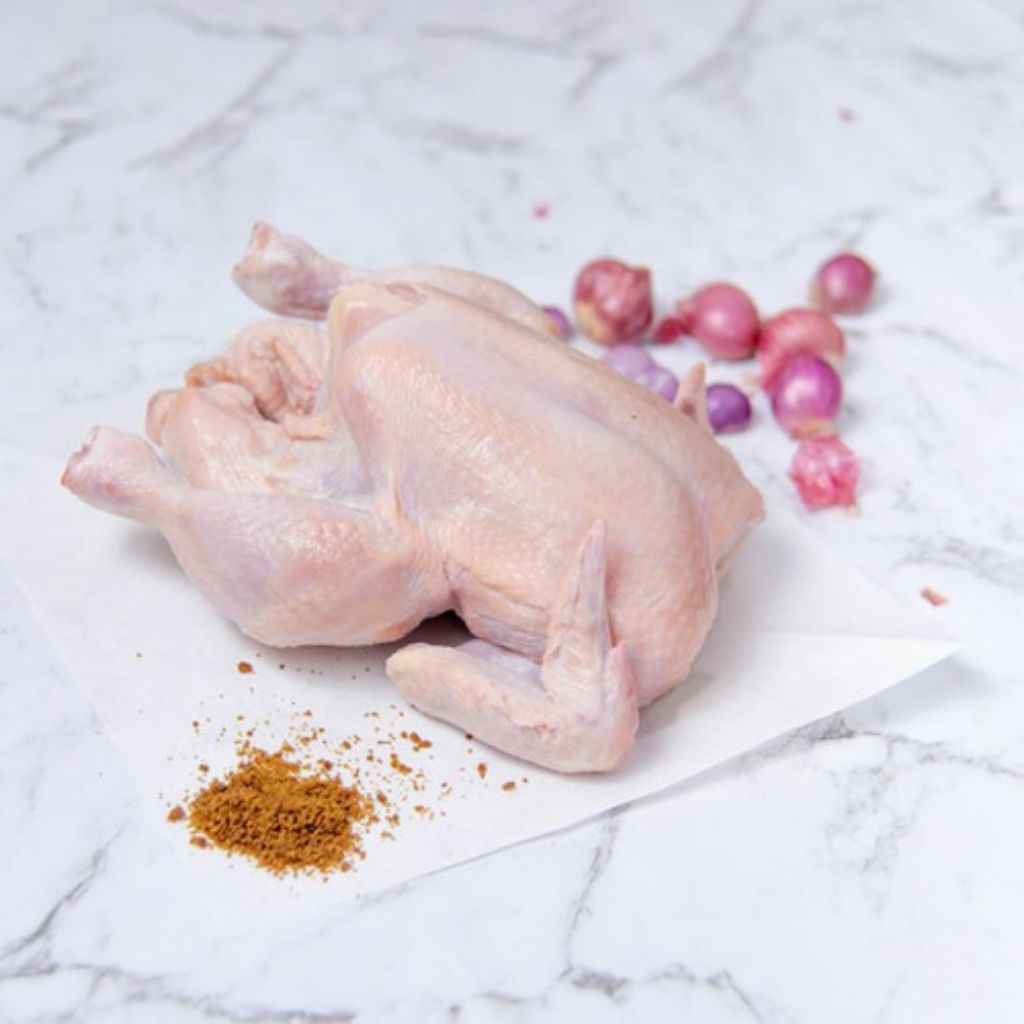 

ayam broiler berat 600gr,frozen fresh halal