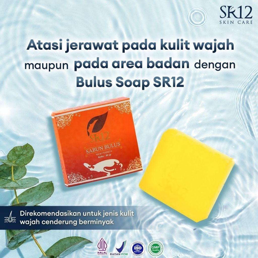 Sabun Bulus SR12 / Bulus Soap SR12
