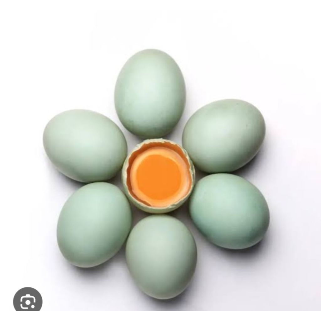 

Telur Bebek Per 3 Butir