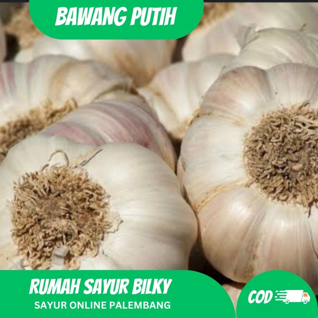 

BAWANG PUTIH 250gr