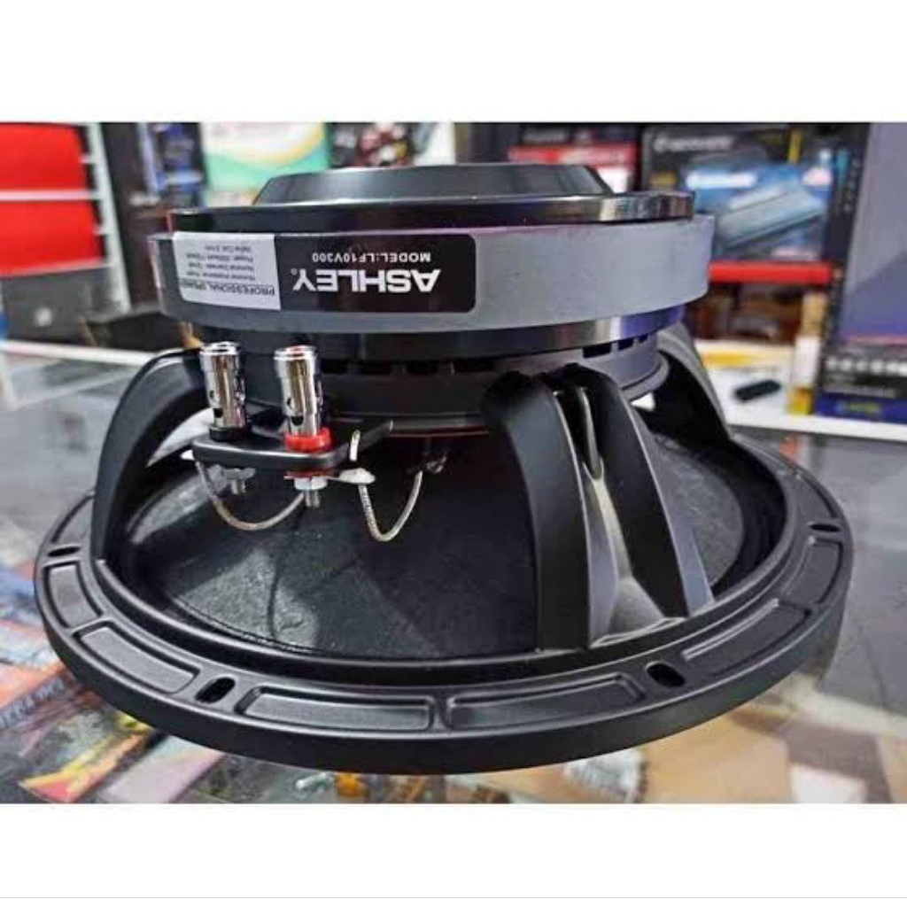 Speaker Ashley Lf10v300 / Speaker 10 inch ashley lf10v300