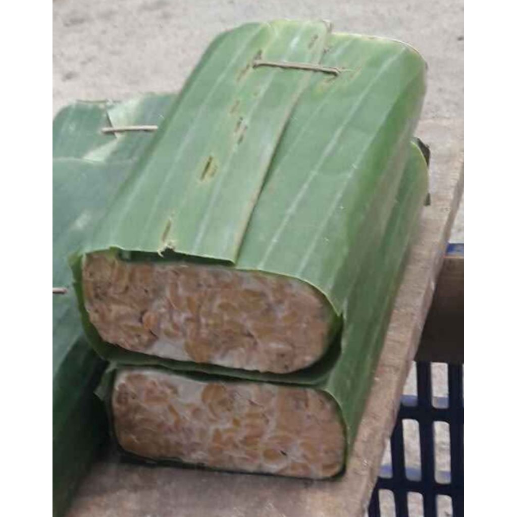

tempe daun produksi subuh