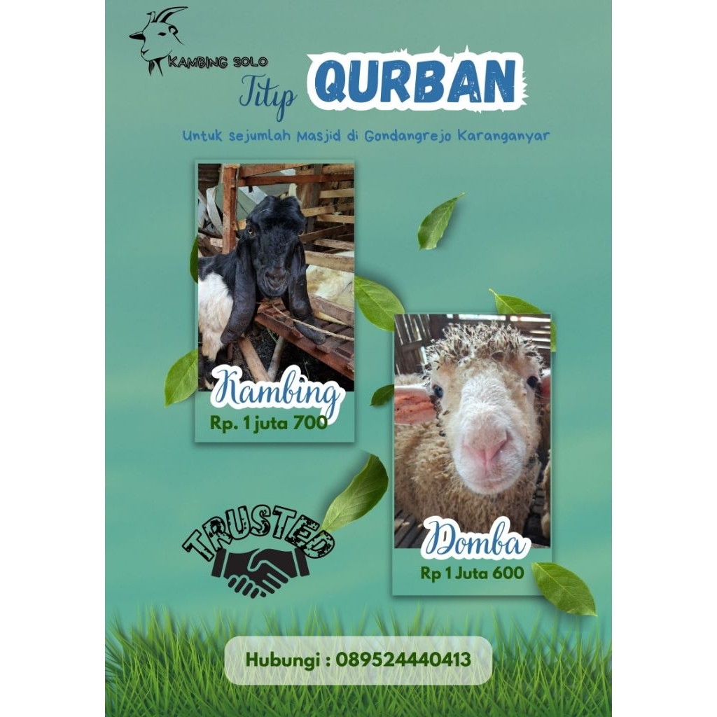 

Kambing Kurban