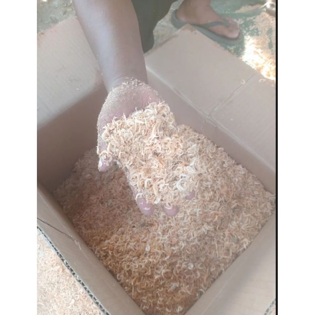 

Rebon asin rebus kering 500gr