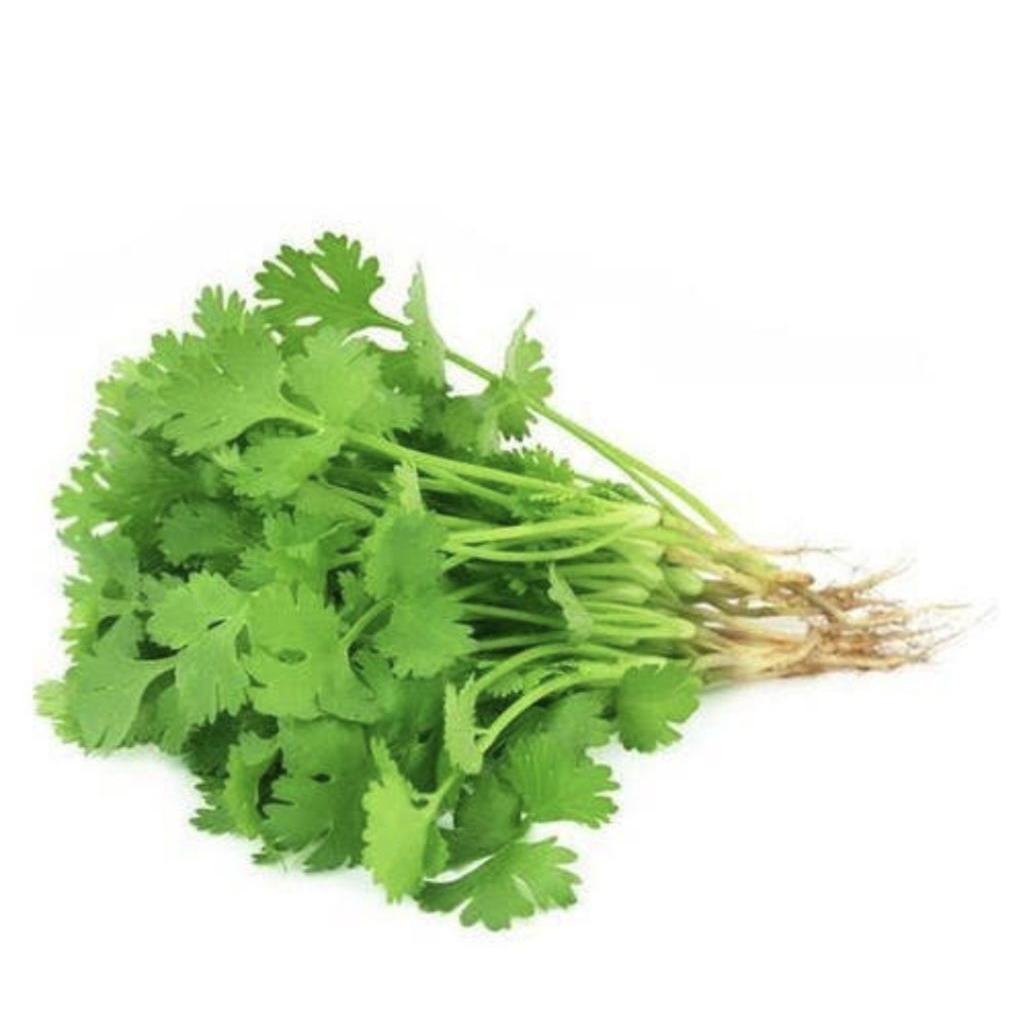 

Coriander Segar 50 gram