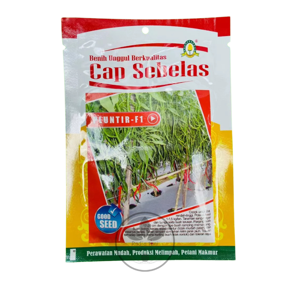 Benih - benih cabe keriting PLUNTIR F1 isi 10g dari cap sebelas (cap sebelas)