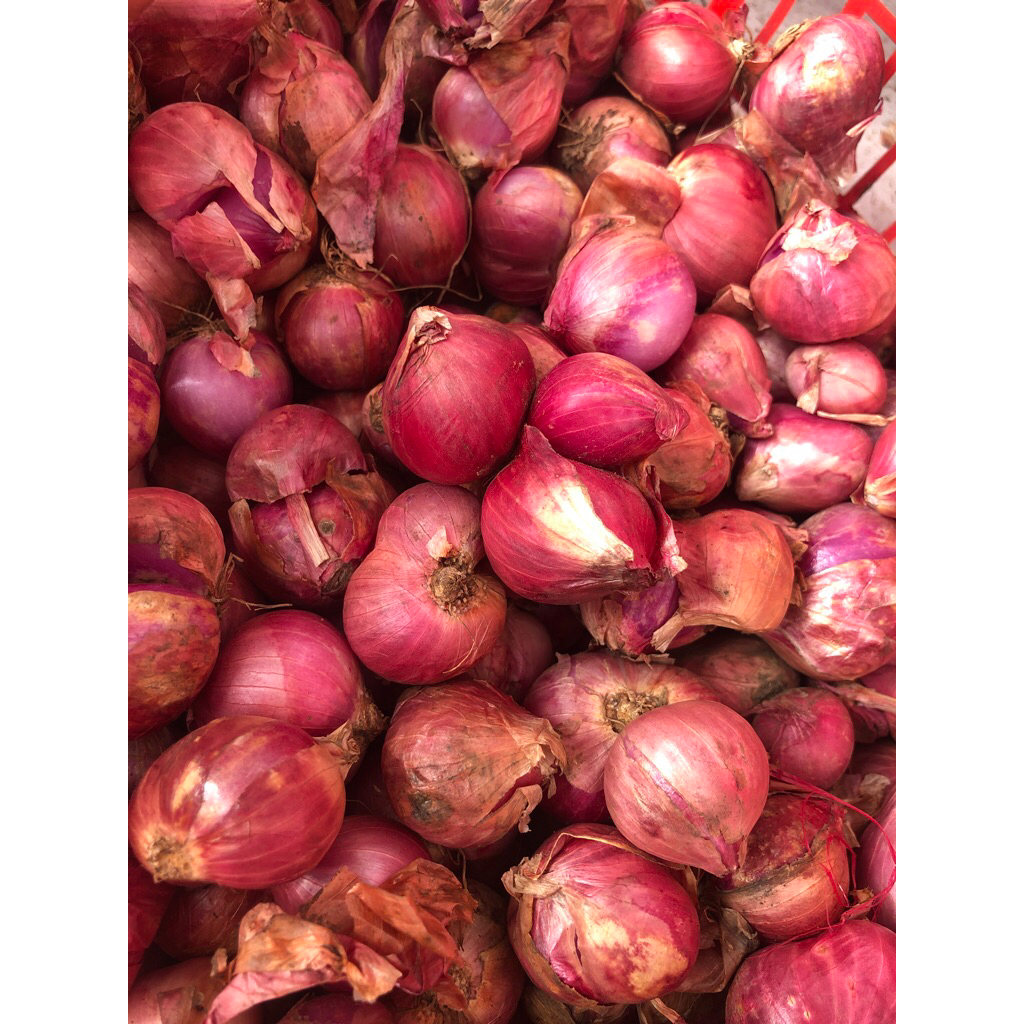 

bawang merah