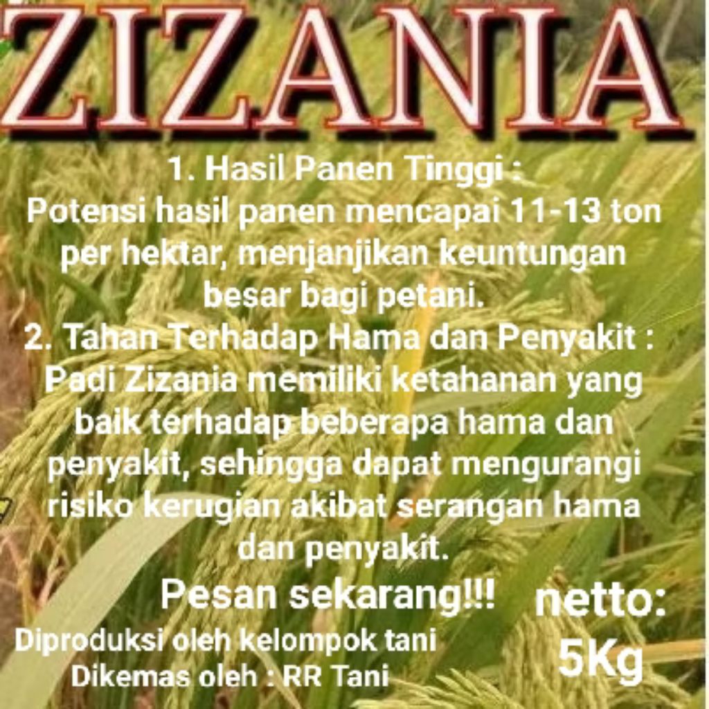 BENIH PADI ZIZANIA KEMASAN 5KG