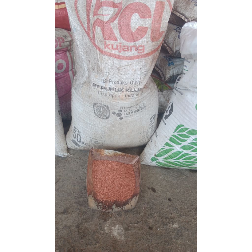 pupuk kcl kujang 50 kg