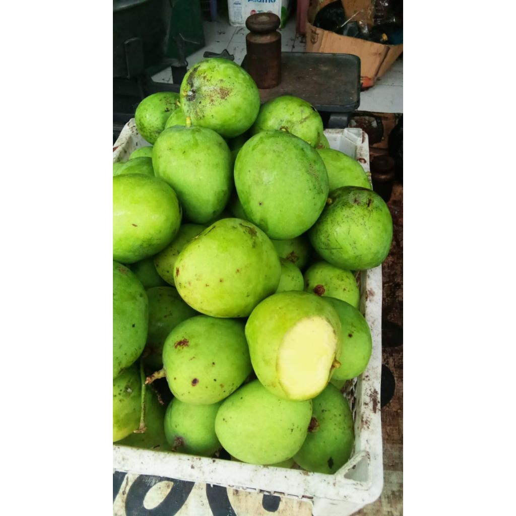 

mangga segar mardhi/telur 1kg