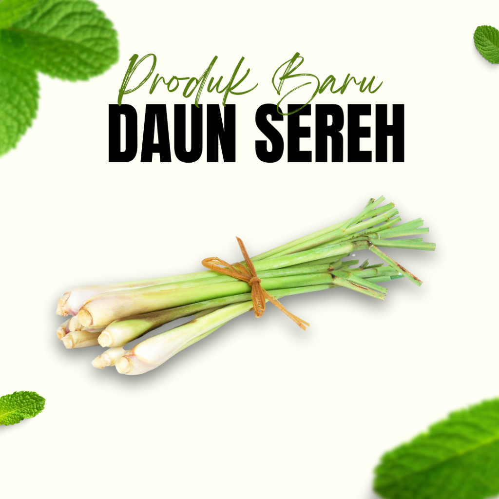 

Sayur Daun Sereh 100gram / Sayur Hijau / Sereh Segar / Daun Sayur / Rempah Sereh