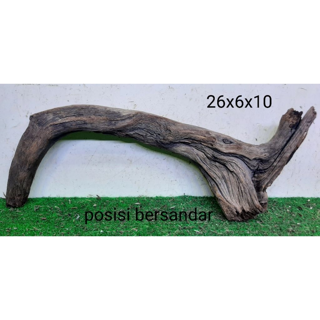 Kayu Santigi Laut Kecil 26cm Kayu Tenggelam Aquascape Aquarium Taman 26x6x10 T