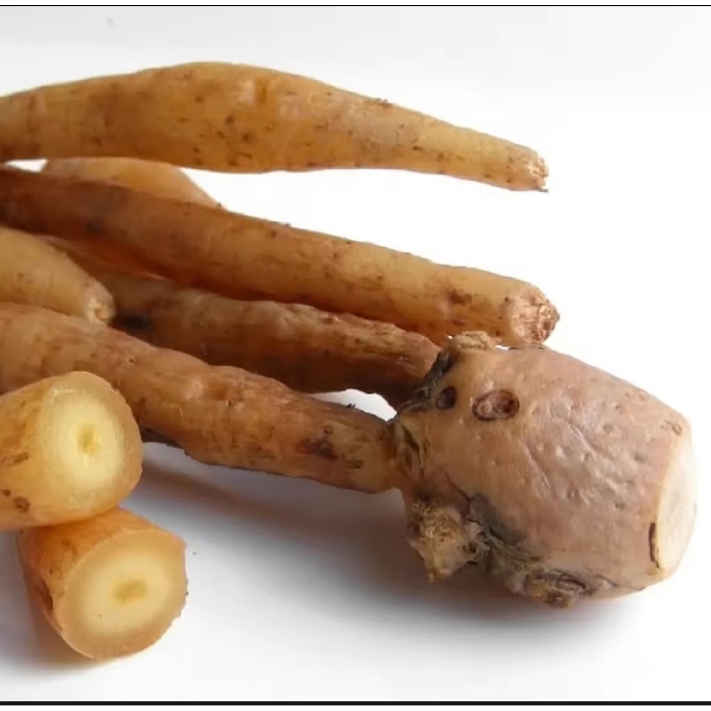 

Temu kunci segar 500 gram