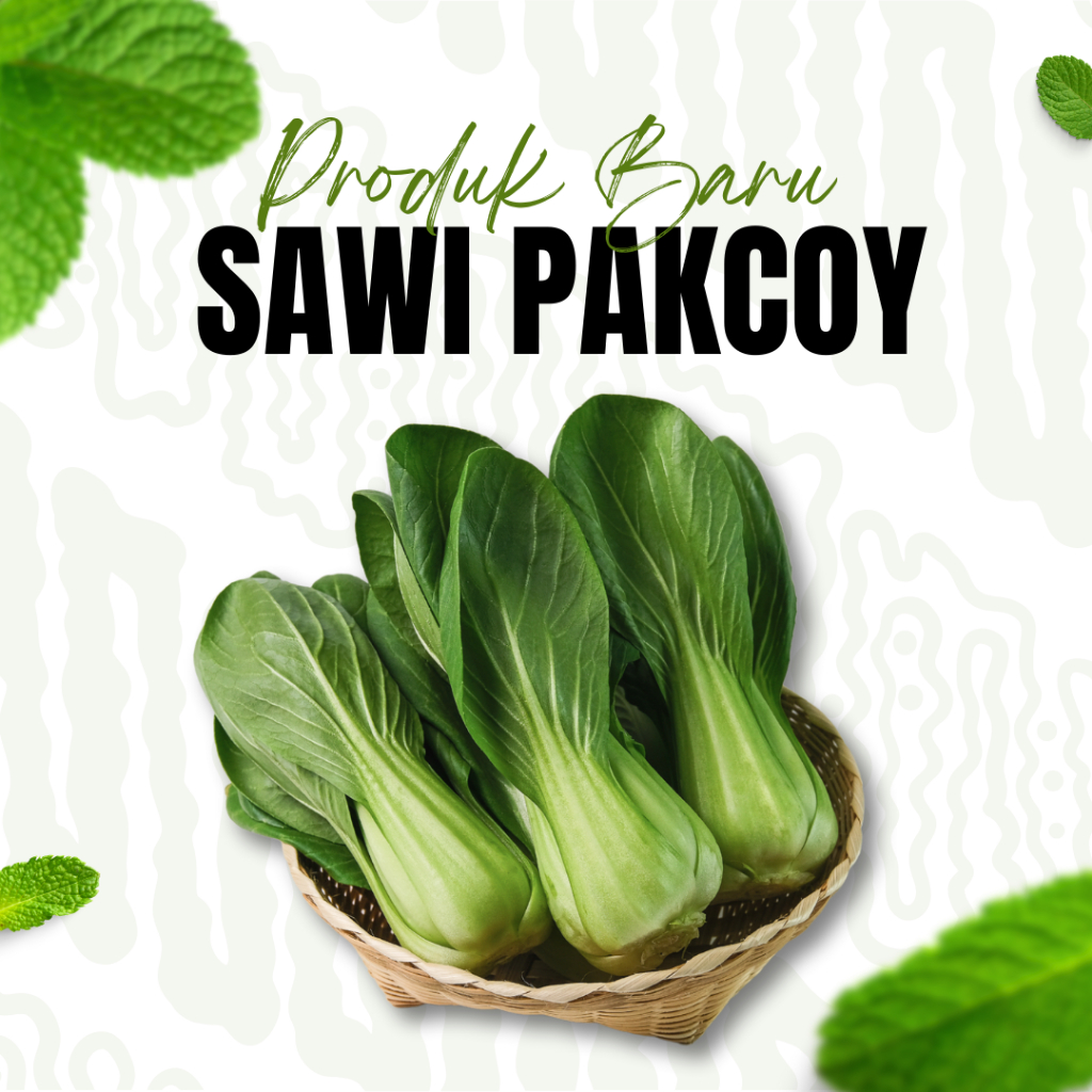 

Sayur Sawi Pakcoy / Pakcoy Per 1 Buah / Sayur Daun Hijau / Sawi Cina / Masakan Sawi