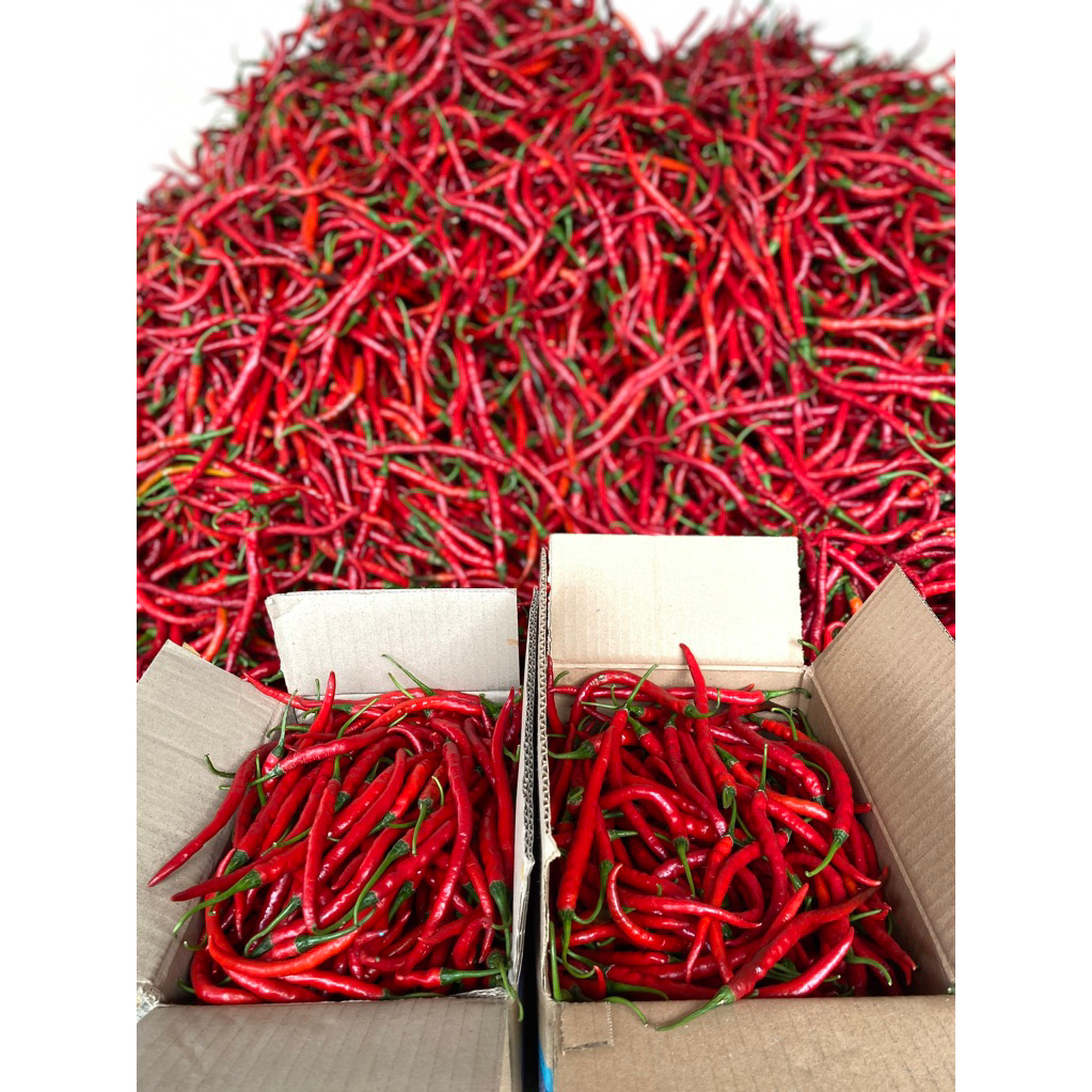 

Cabai / Cabe merah keriting segar 1kg