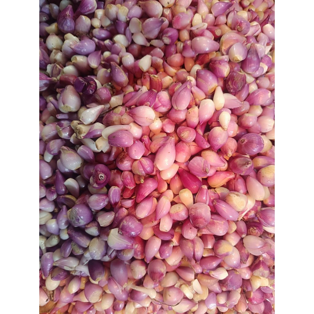 

BAWANG MERAH KUPAS BERSIH 250gr/1000gr