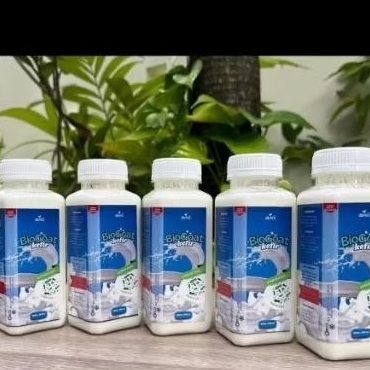Susu kefir ( Susu Kambing ) 100% murni
