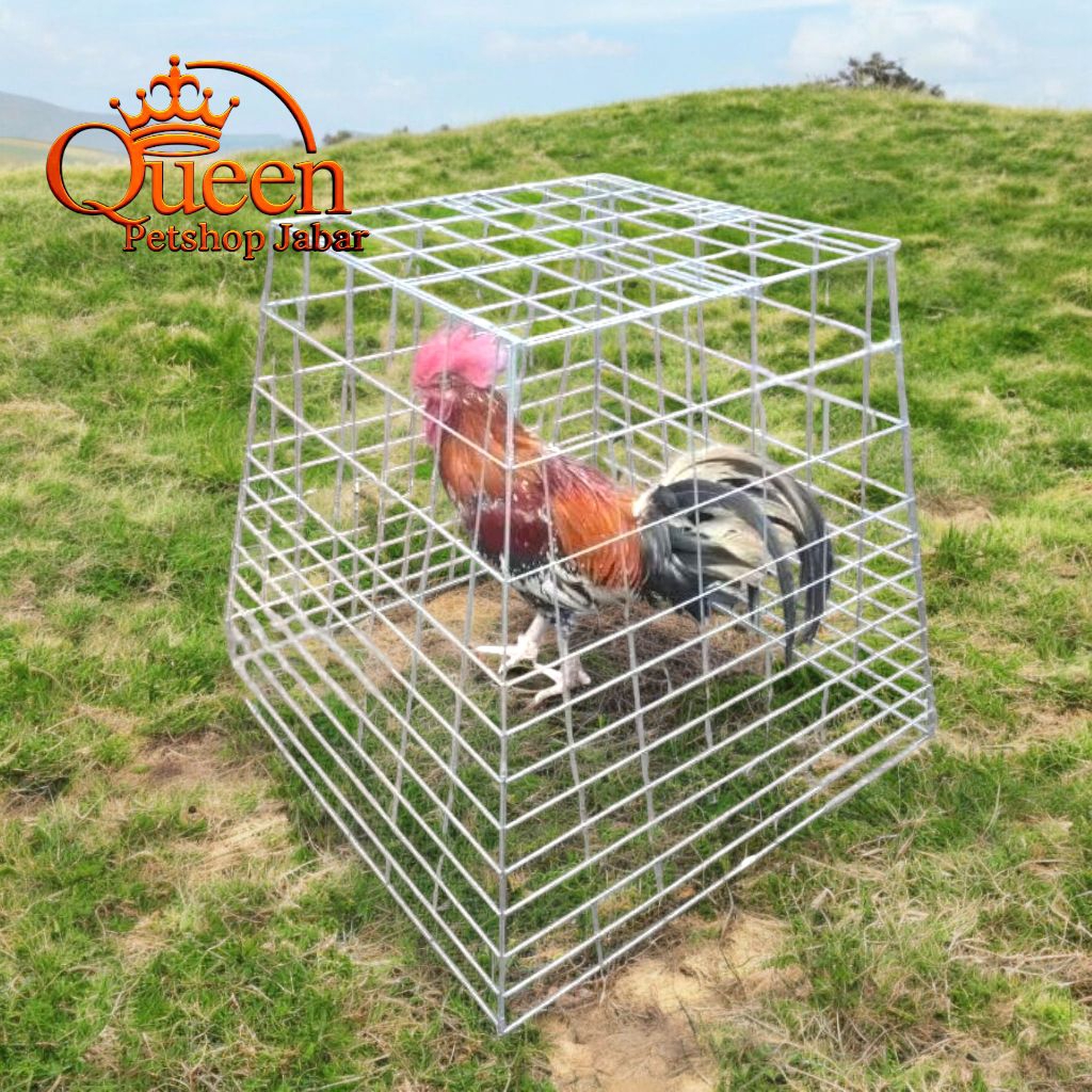 Kandang Ayam Piramid Lipat / Kandang Ayam Berjemur / Kandang Mandian Ayam
