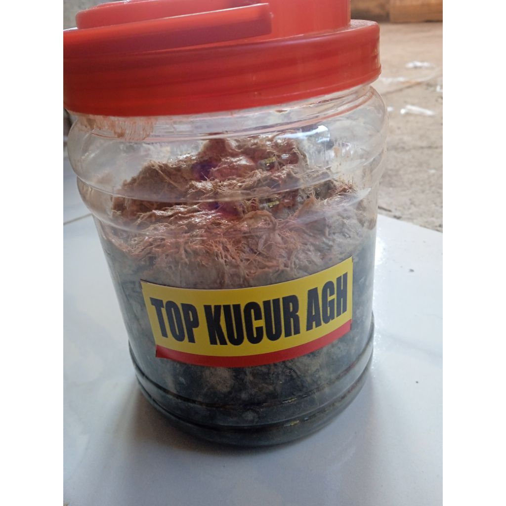 Top kucur Agh warna hitam