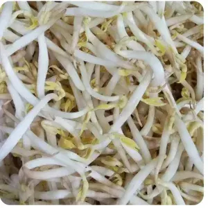 

PAKET 2 KG TOGE BESAR BANGKOK