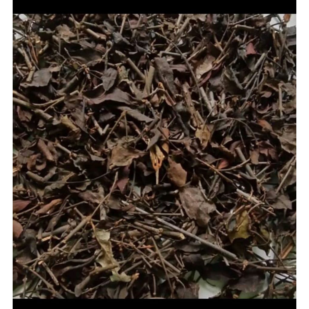 

daun benalu cengkeh kering 200gr daun herbal tradisional
