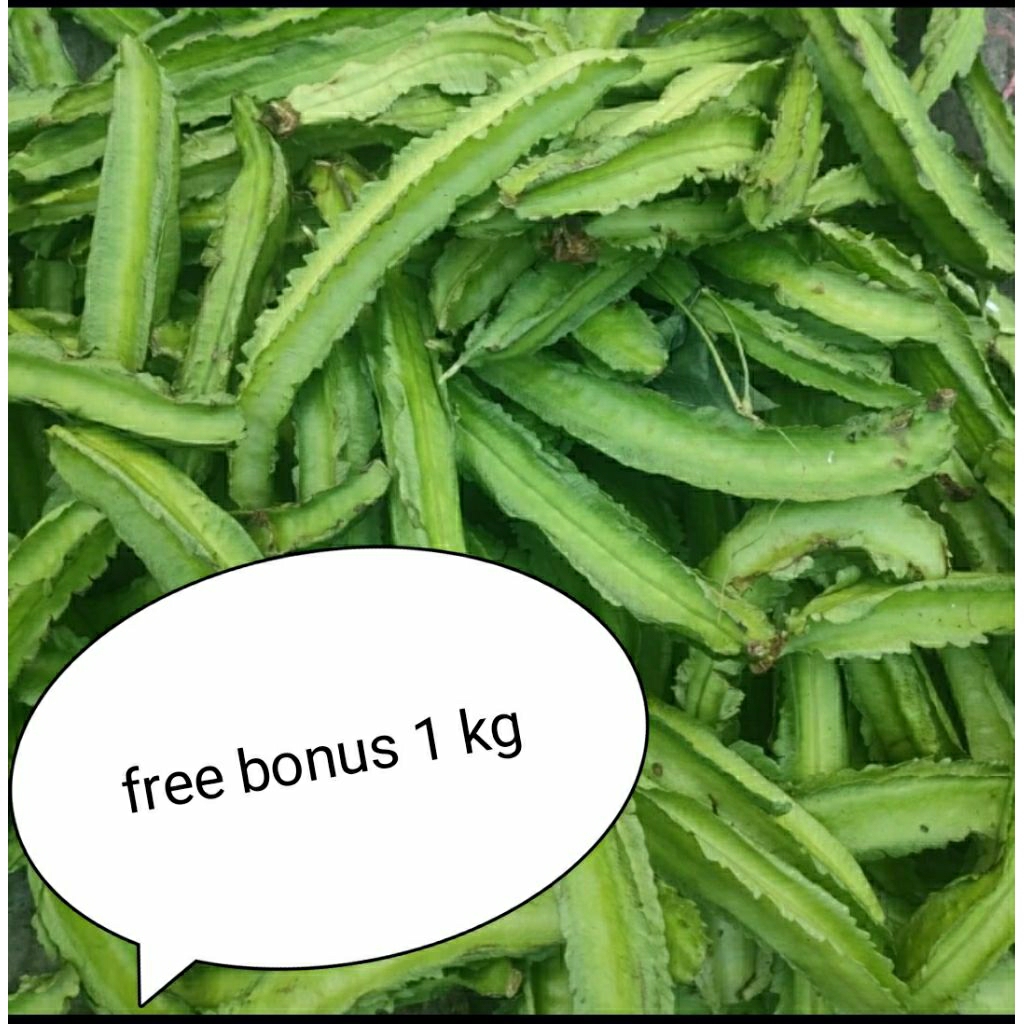 

kecipir 500gr + gratis bonus