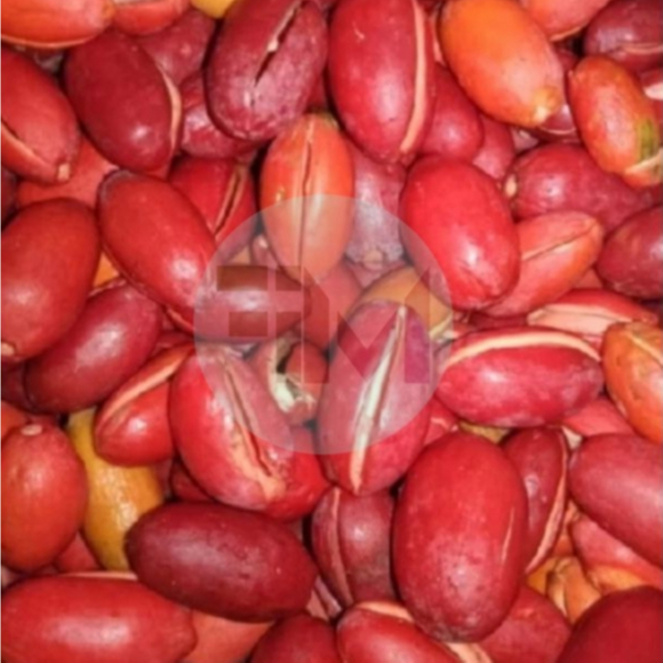 

KULIT MELINJO SUPER 1KG, MELINJO SEGAR | MELINJO SUPER