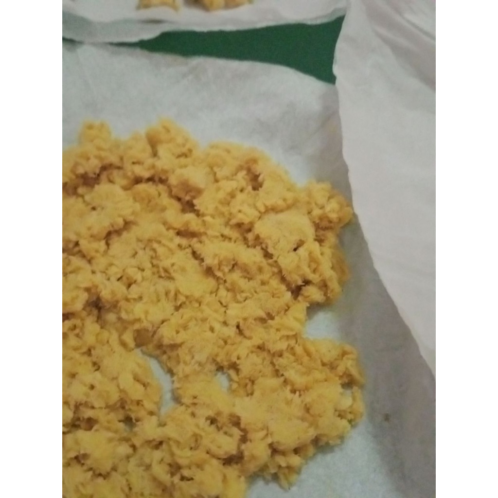 Telur BSF maggot lalat BSF super 1 gram