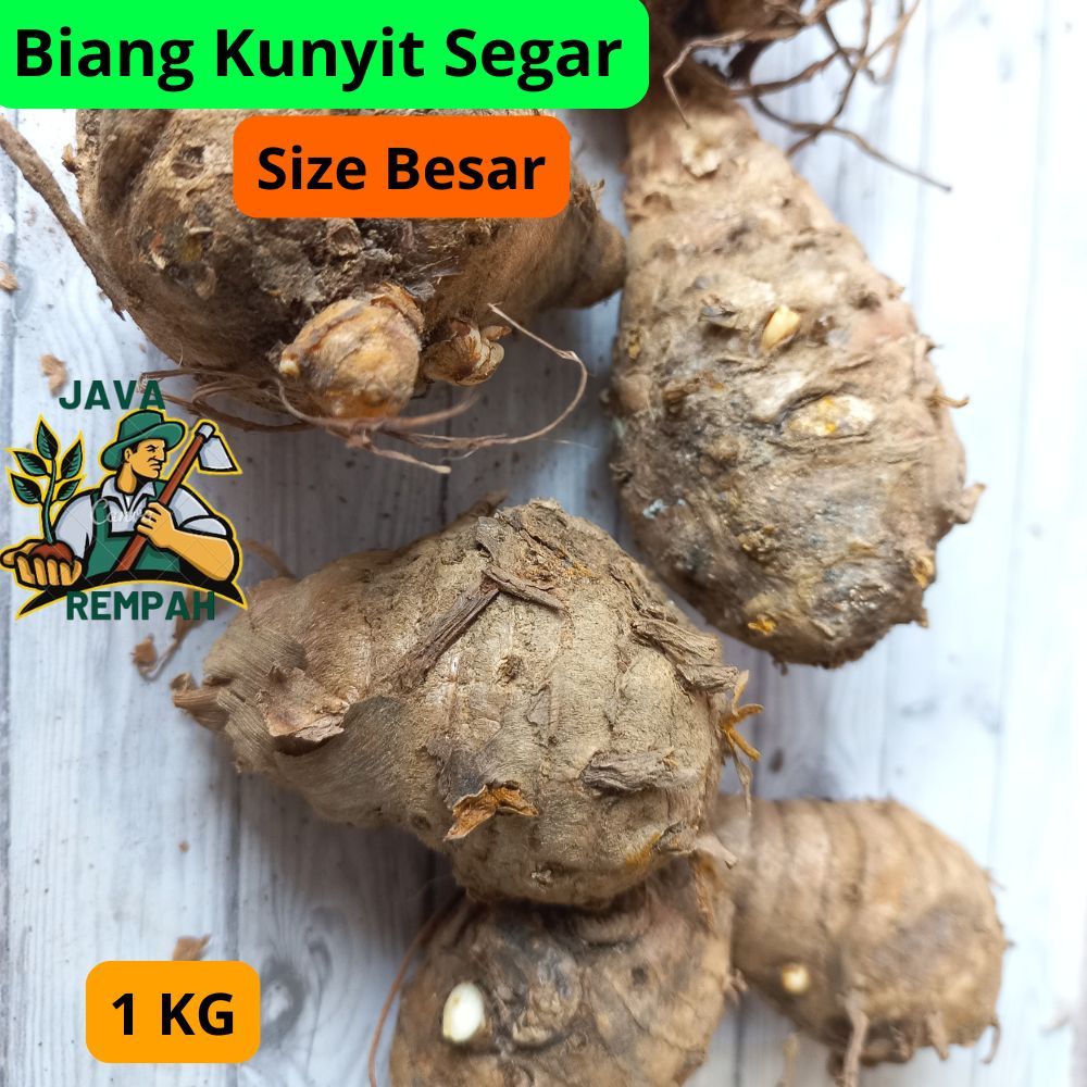 

BIANG KUNYIT 1KG EMPU KUNYIT