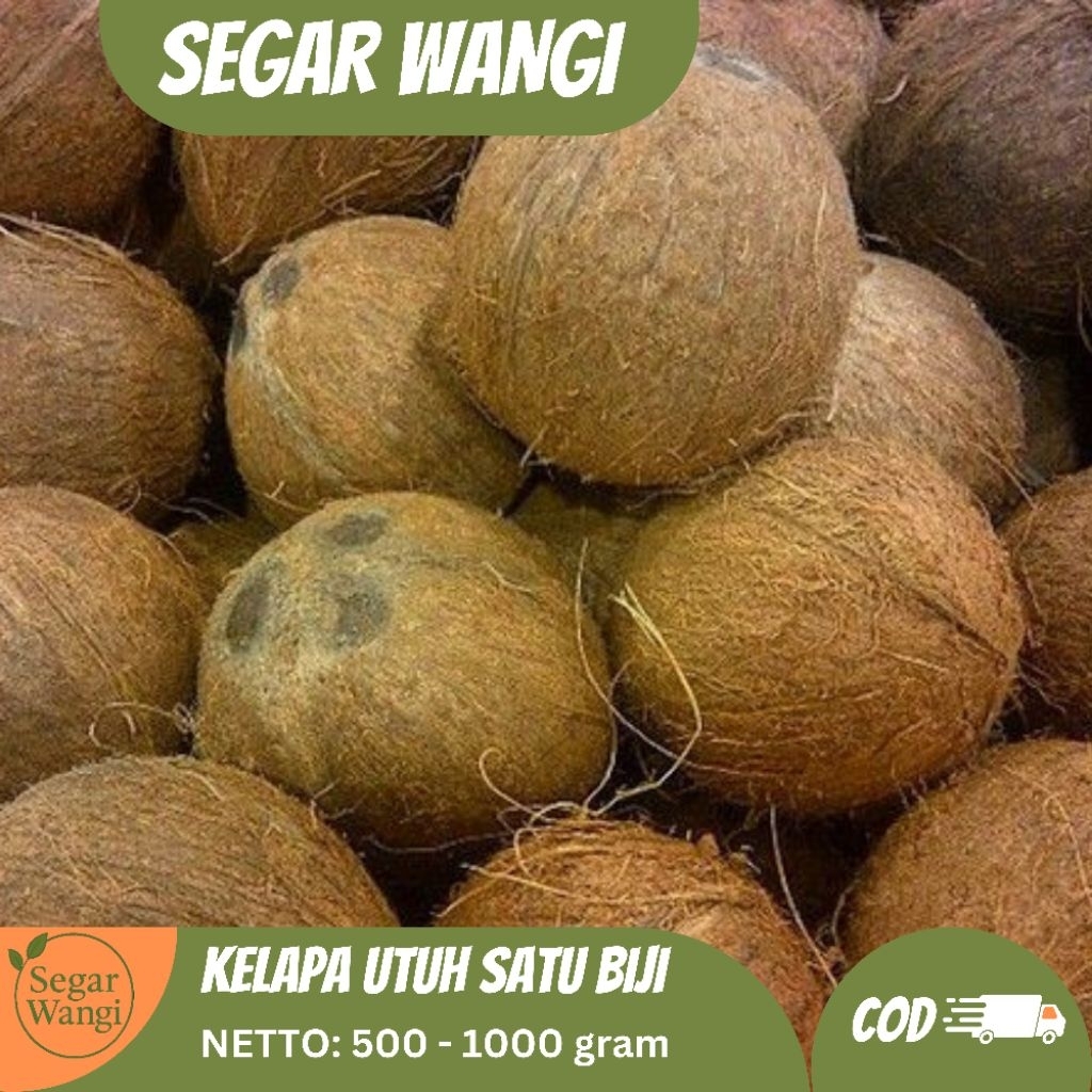 

Kelapa Tua Utuh Premium – Cocok untuk Santan Kental
