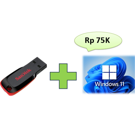 SanDisk USB Windows 11 Installer