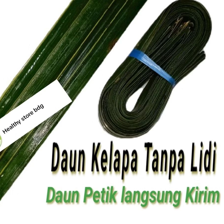 

Daun kelapa hijau segar Tanpa Lidi 100 Lembar