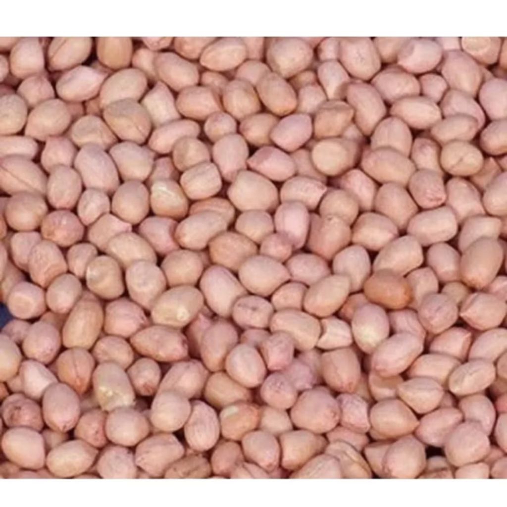 

KACANG TANAH KUPAS MENTAH MURAH READY