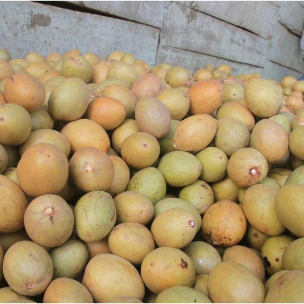 

Buah Sawo Segar Super Manis dan Legit 1kg