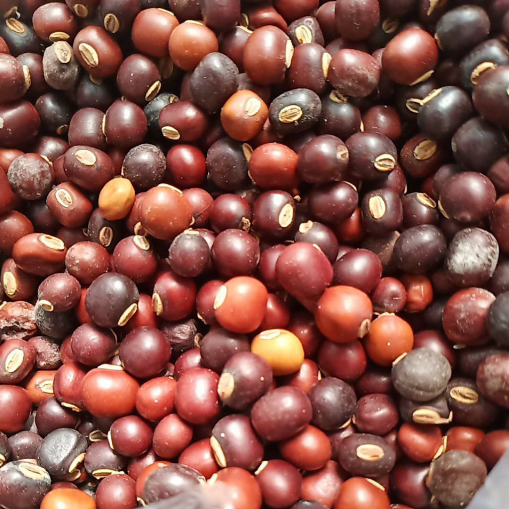 

biji kecipir/botor kering 250gr