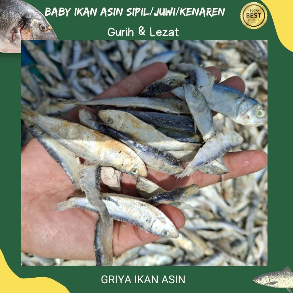 

Ikan asin jambal lemet/ikan asin juwi size kecil / baby juwi asin/ baby kemaren gurih