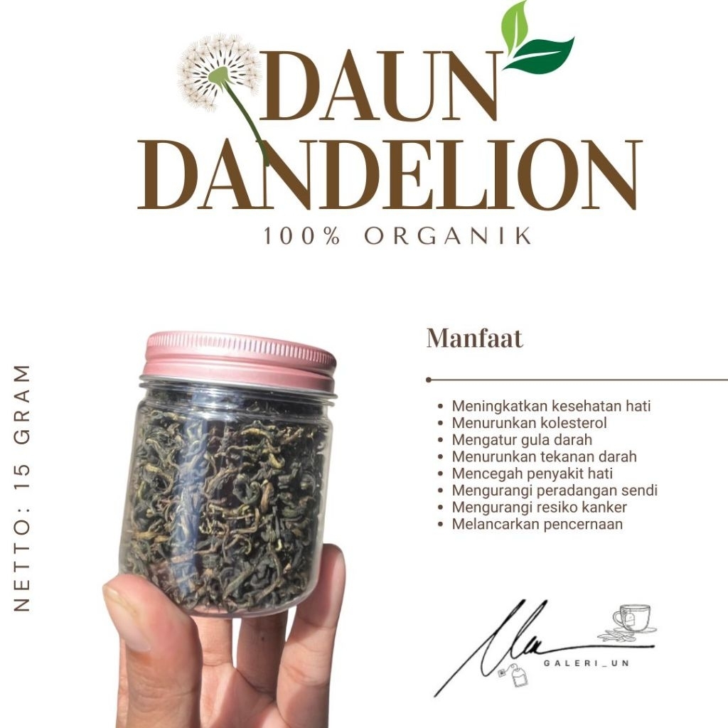 

DAUN DANDELION/DANDELION LEAF (15gr) PREMIUM